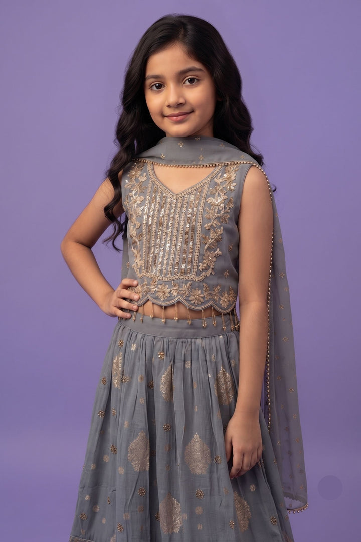 Light Grey Beads, Zari and Sequins work Lehenga Choli for Girls