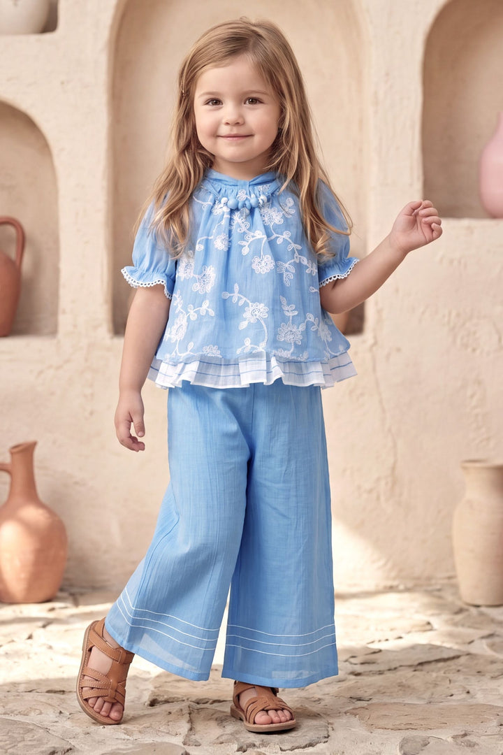 Blue with Floral Embroidery work Co-ord Set for Girls