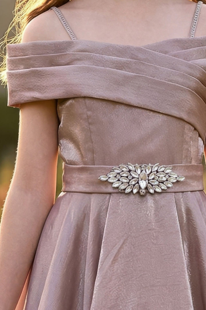 Onion Pink Stone work Long Party Gown for Girls