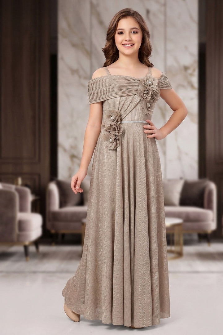 Fawn Stone work Long Party Gown for Girls