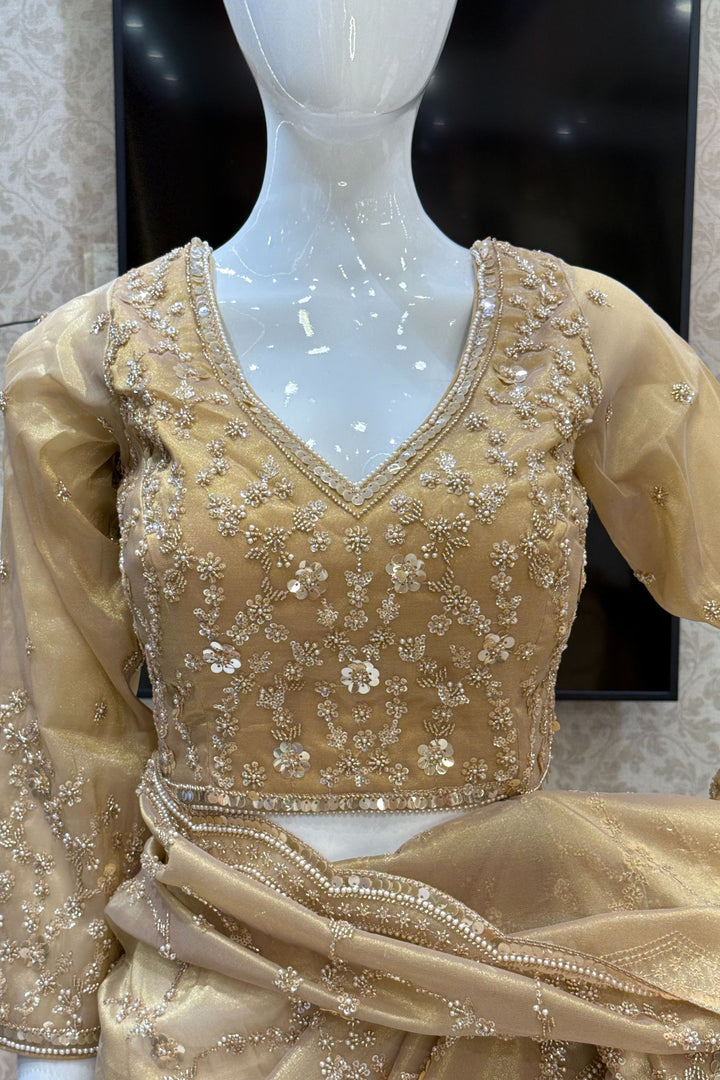 Gold Beads, Sequins, Peral and Zari work Saree