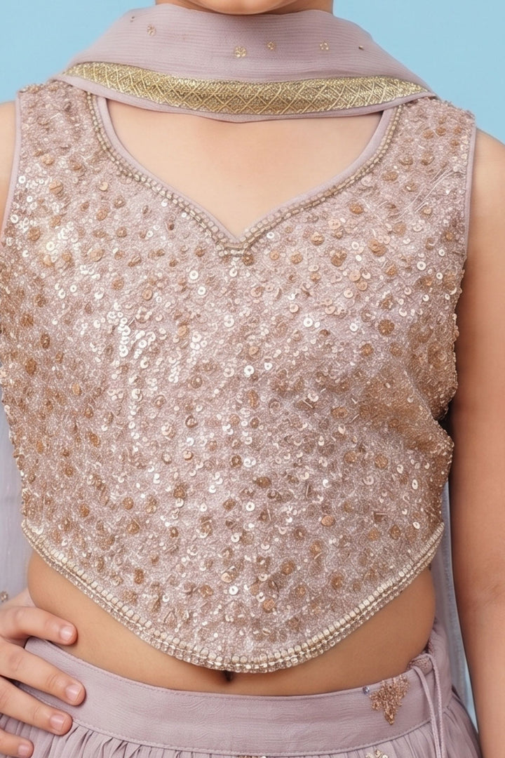 Light Lavender Sequins and Beads work Lehenga Choli for Girls