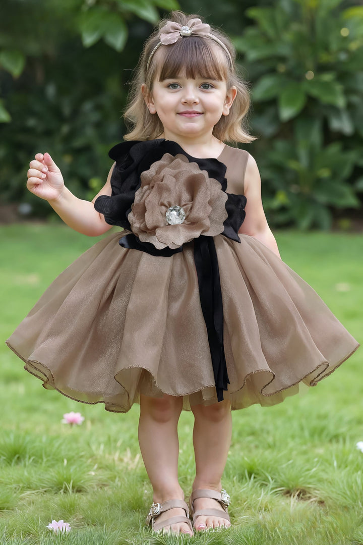 Brown Partywear Short Frock for Girls