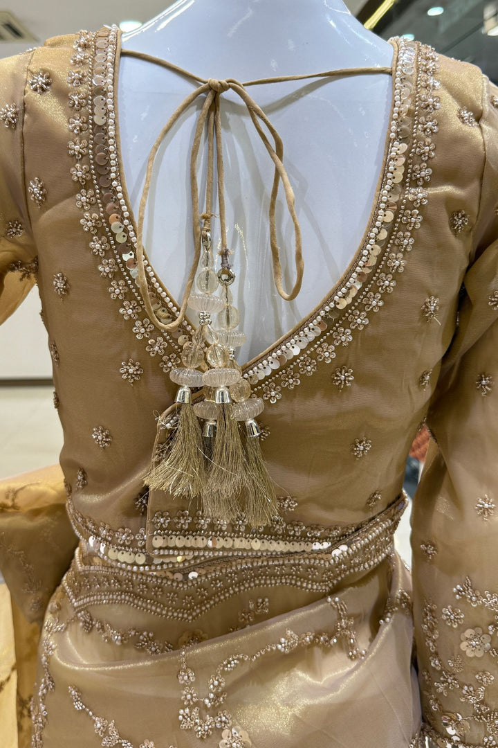 Gold Beads, Sequins, Peral and Zari work Saree