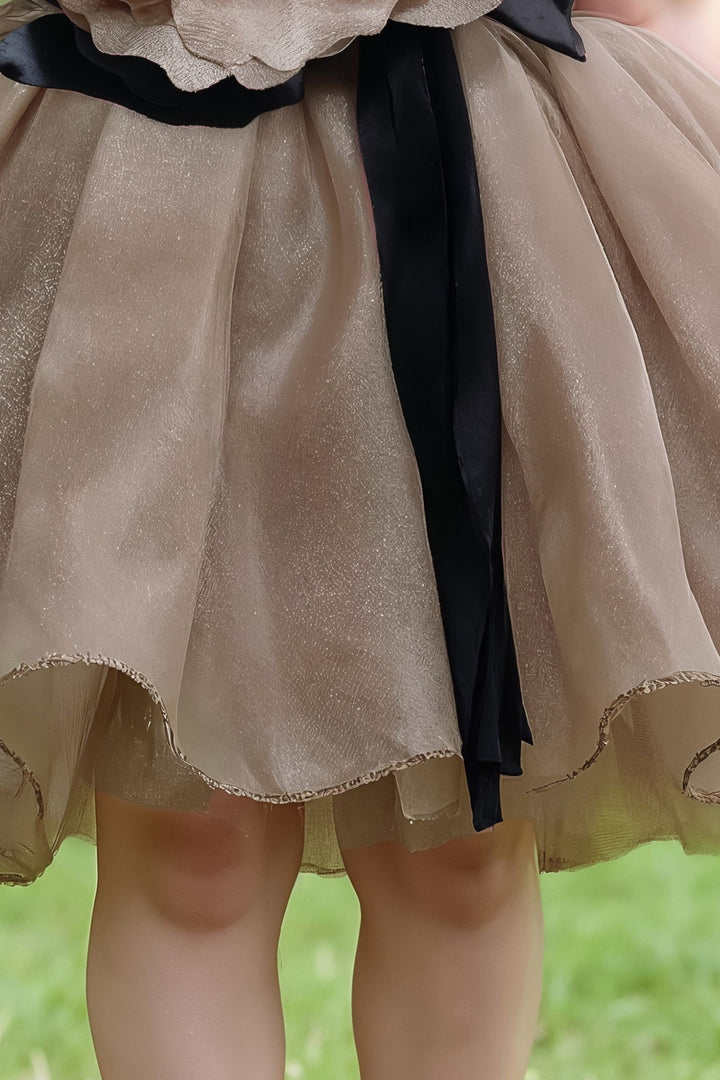 Brown Partywear Short Frock for Girls