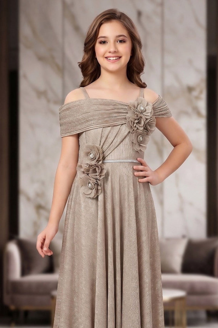 Fawn Stone work Long Party Gown for Girls