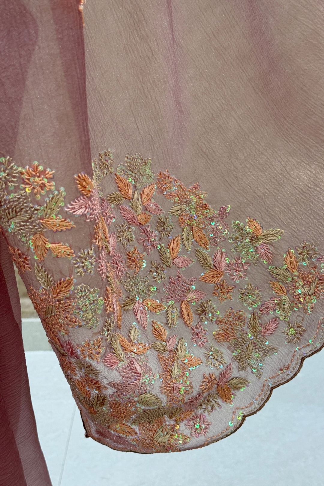 Light Brown Saree Featuring Embroidery and Sequins work