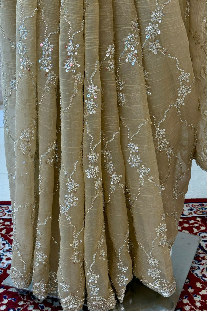Chiku Saree with Beads, Zari and Sequins work
