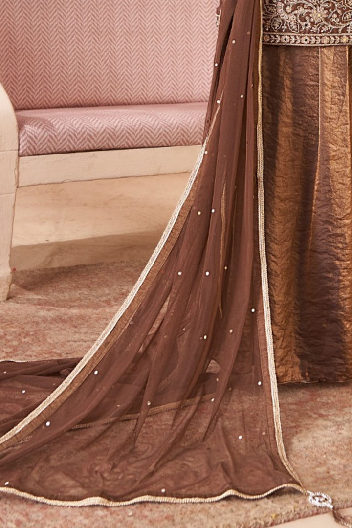 Brown Zari, Stone, Mirror and Sequins work Palazzo Salwar Suit