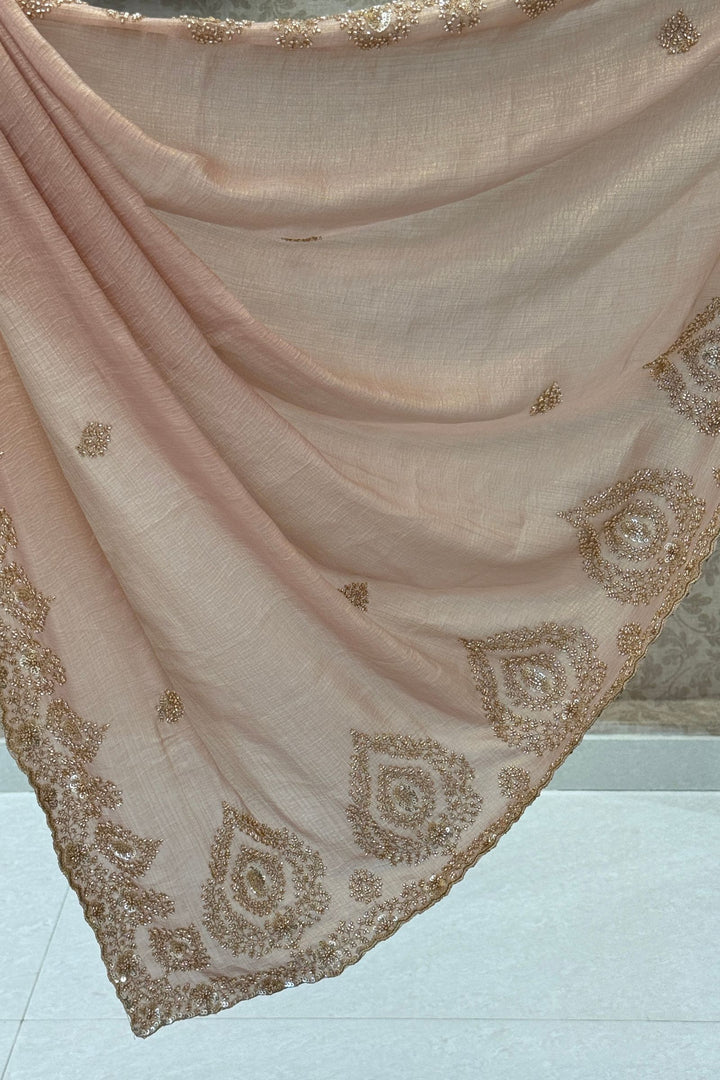 Chiku Beads, Zari and Sequins work Saree