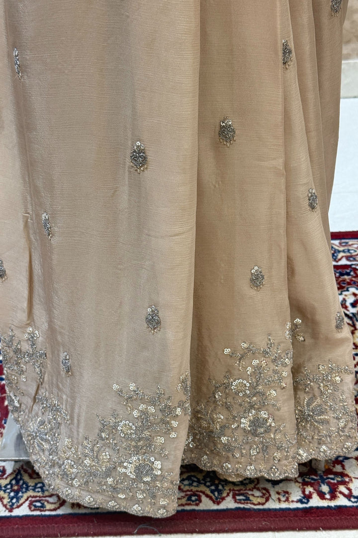 Beige Zari and Sequins work Saree