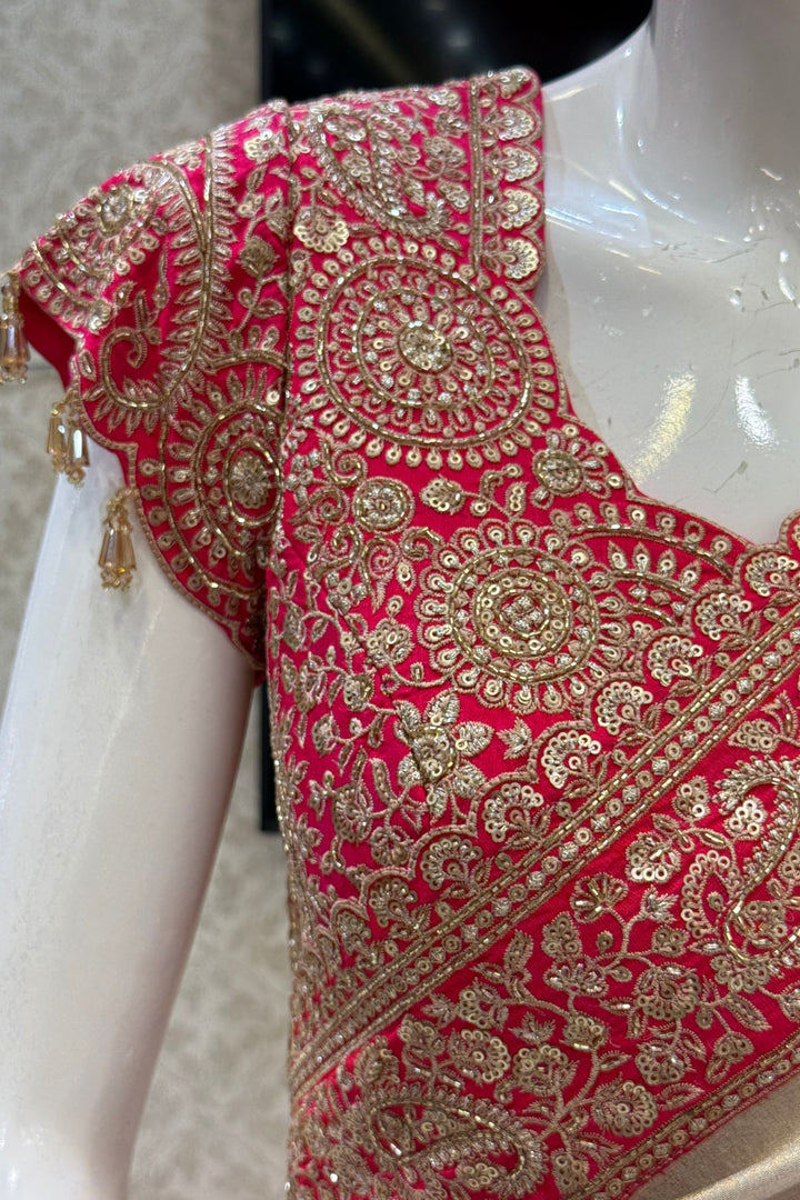 Chiku with Pink Saree with Sequins, Beads and Thread Embellishments