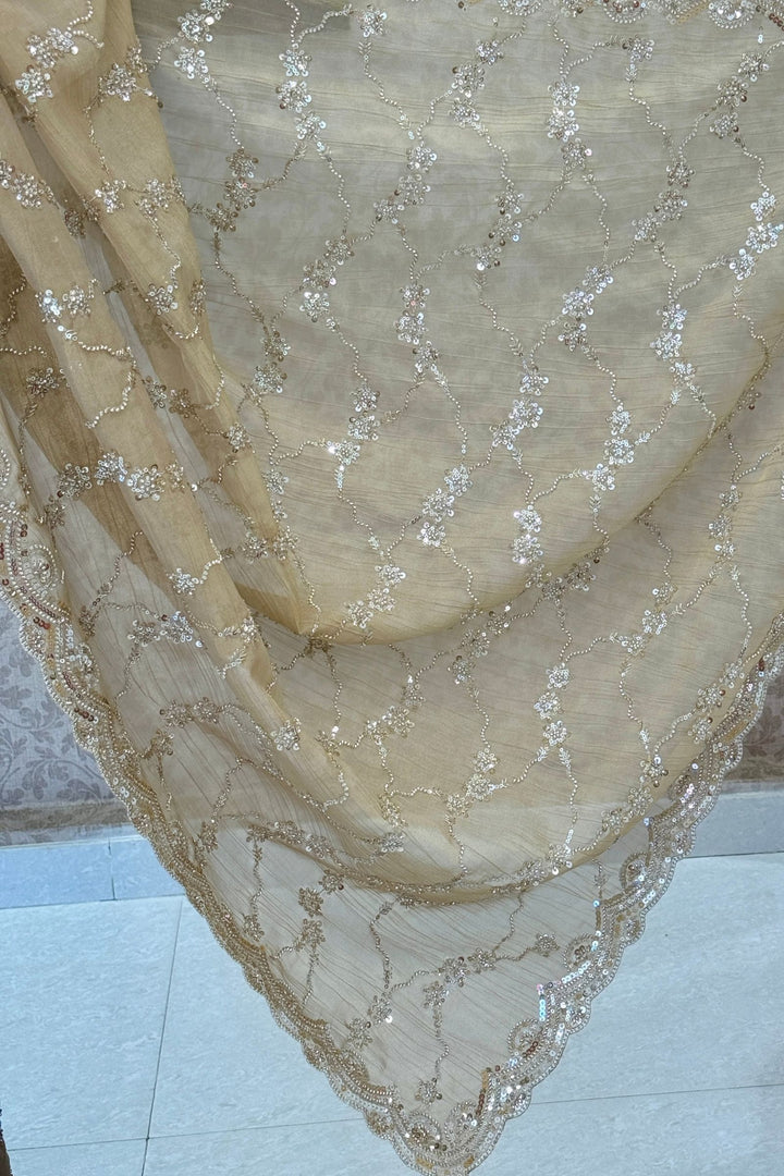 Chiku Saree with Beads, Zari and Sequins work