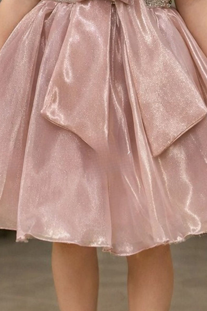 Onion Pink Stone work Short Partywear Frock for Girls