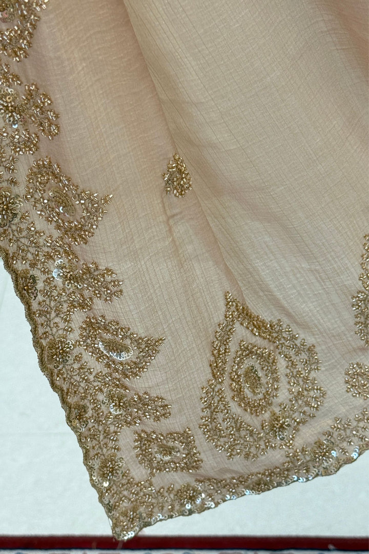 Chiku Beads, Zari and Sequins work Saree