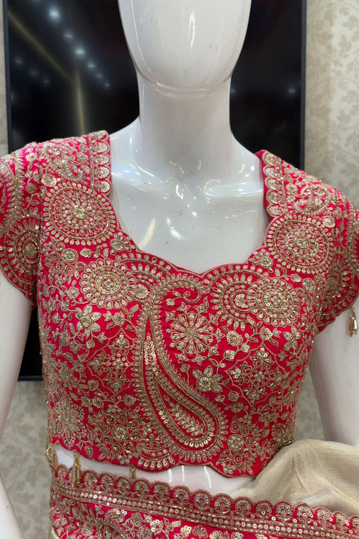 Chiku with Pink Saree with Sequins, Beads and Thread Embellishments