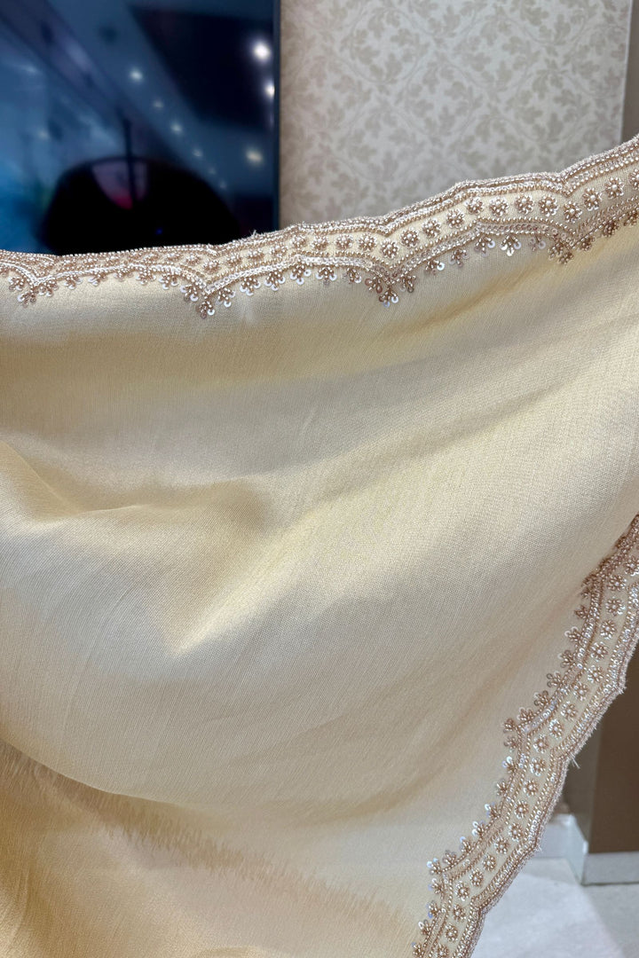 Chiku Saree with Pearl, Zari and Sequins work